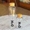 تصویر  بطری آب ۵۰۰ میل H2o